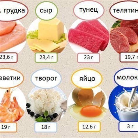 Белок и железо