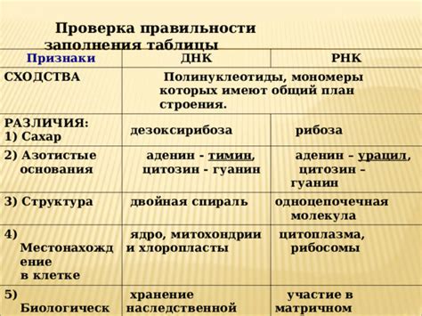 Биологические основания