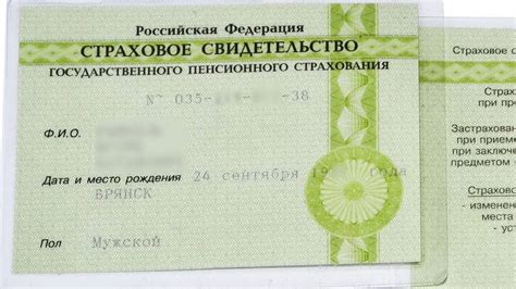 Важность предоставления СНИЛС