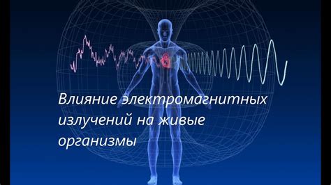 Влияние закона Гука на жизнь человека