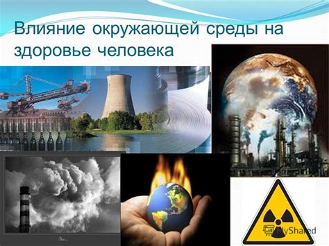 Влияние окружающей среды на проникновение клещей