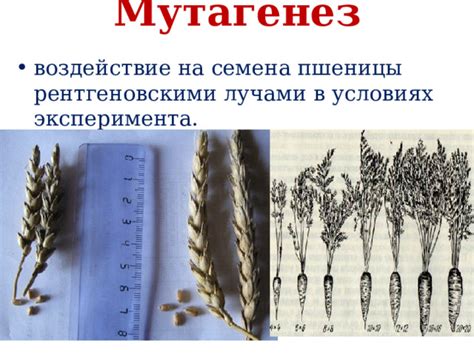 Воздействие кипячения