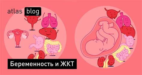 Возможность неудавшегося зачатия