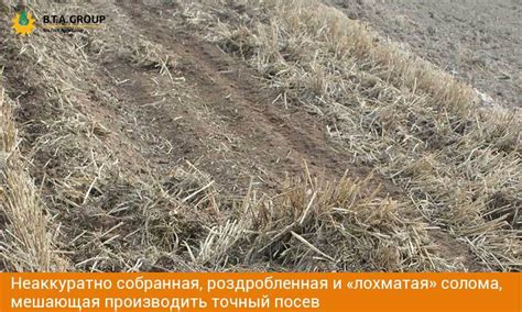 Восстановление плодородия почвы