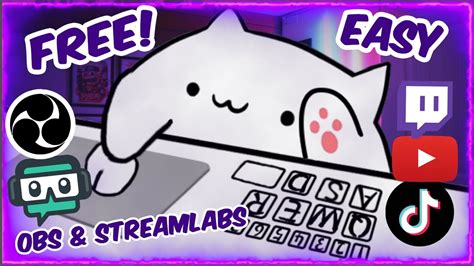 Добавление Bongo Cat в OBS