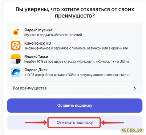 Инструкция по использованию Яндекс.Плюс