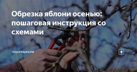 Инструкция со схемами