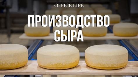 История и производство сыра "Белая вдова"