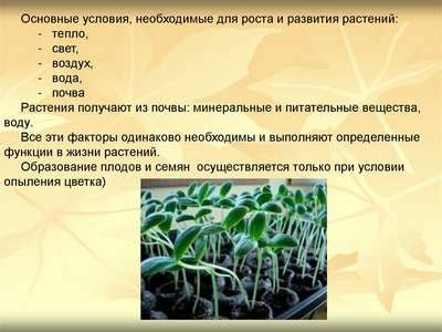 Какие элементы нужны