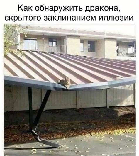 Как обнаружить места скрытого обитания бетилидов