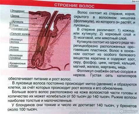 Как определить ЕСПП: методы и советы