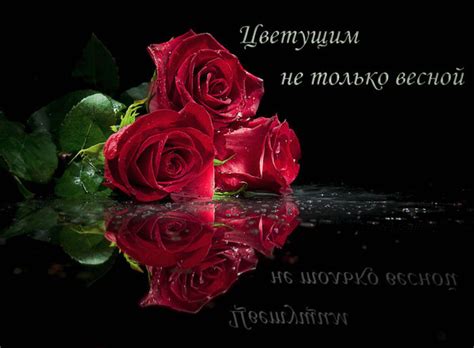 Как понимать слова "вечер обещает быть томным"