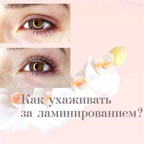 Как правильно ухаживать за ресницами после ламинирования