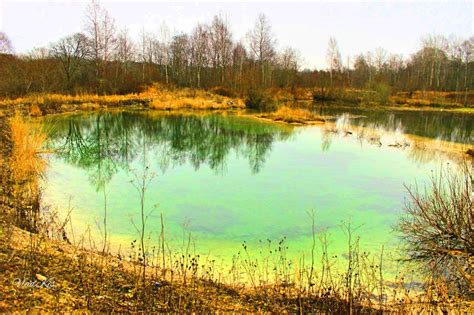 Качество воды - залог успеха
