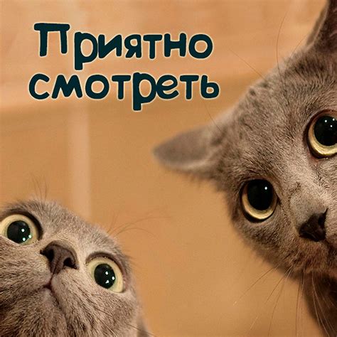 Когда жесть, когда приятно