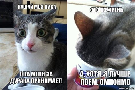 Кушай, да не облизывайся!