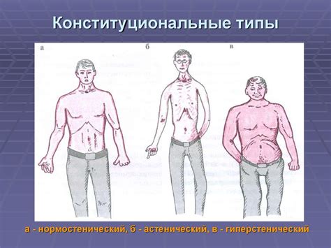 Осмотр и оценка состояния лапки