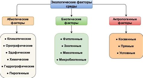 Основные факторы и среды слизи выделения