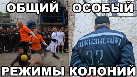 Особенности колоний строгого режима