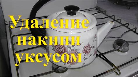 Очистка чайника перед установкой