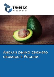 Перспективы рынка авокадо в России
