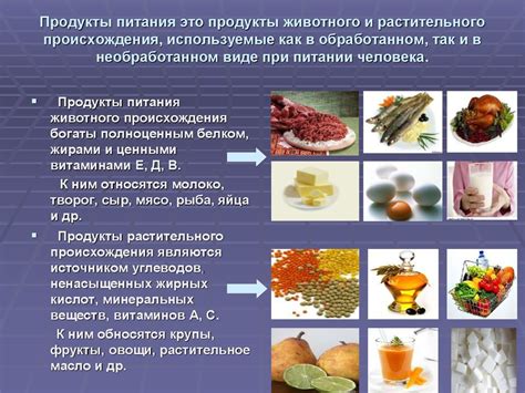 Питание и рацион животного