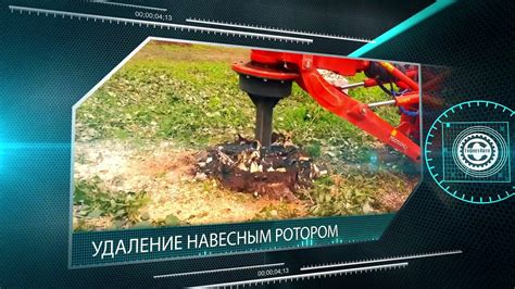Плюсы и минусы удаления пней на участке