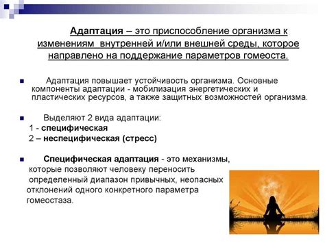 Подготовка к адаптации заслонок