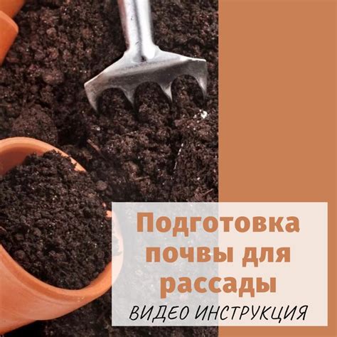 Подготовка питательной почвы для кислицы