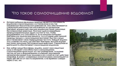 Подкармливание и установление равновесия влажности