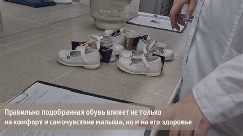Показатель безопасности