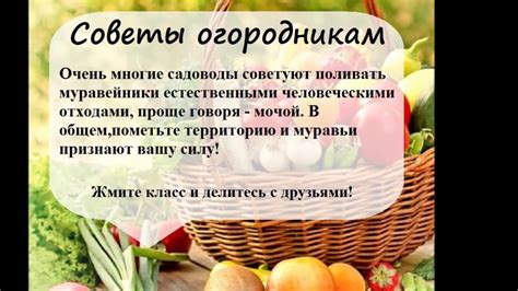Полезные рекомендации для садоводов