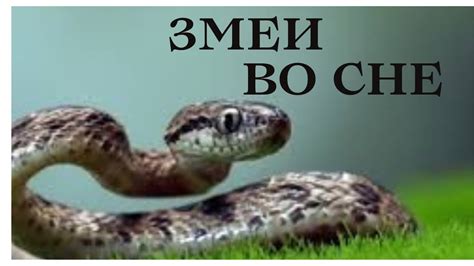 Получение ключа во сне: что означает