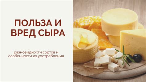 Польза и особенности сыра "Белой вдовы"
