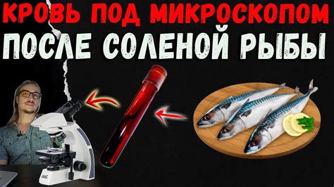 Потенциальные вредные последствия сметаны после соленой рыбы