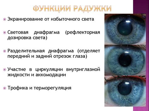 Появление белого всплеска в глазных зрачках