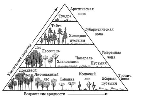 Примеры биомов Африки