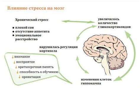 Причины возникновения сновидения