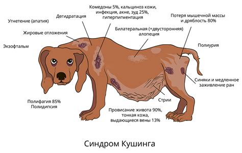 Причины охриплости у собаки