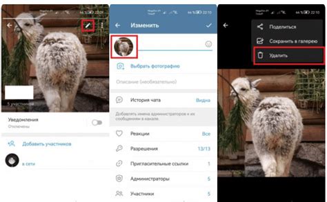 Проверка успешного удаления аватара