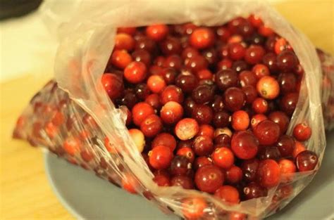 Продуктивность кипячения для клюквы