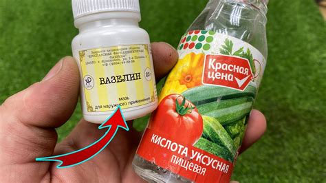 Разогретая зола и уксус: результат