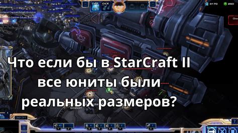 Роли в многограннике Старкрафт 2023