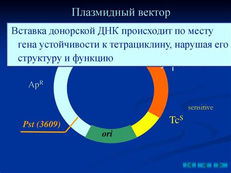 Свойства наноизумрудов и их использование