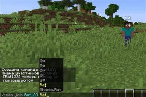 Способы сделать ники игроков невидимыми в Майнкрафт