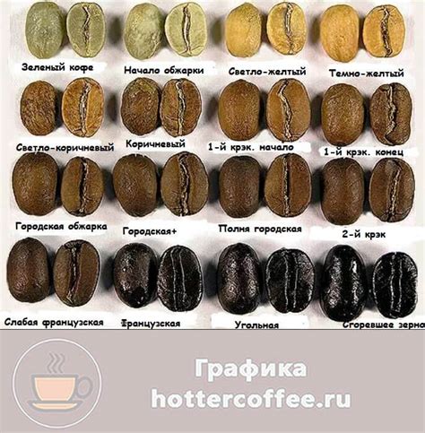 Степень обжарки зерен и выбор породы кофе