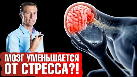 Стресс и нервные взрывы