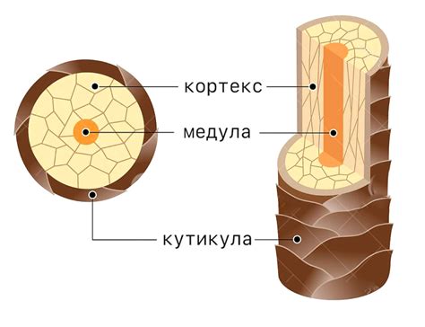 Структура графитового стержня