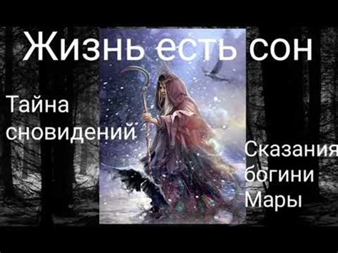 Тайна сновидений: банка и компот