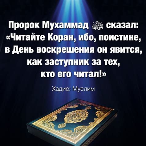 Традиции, приведенные из Корана
